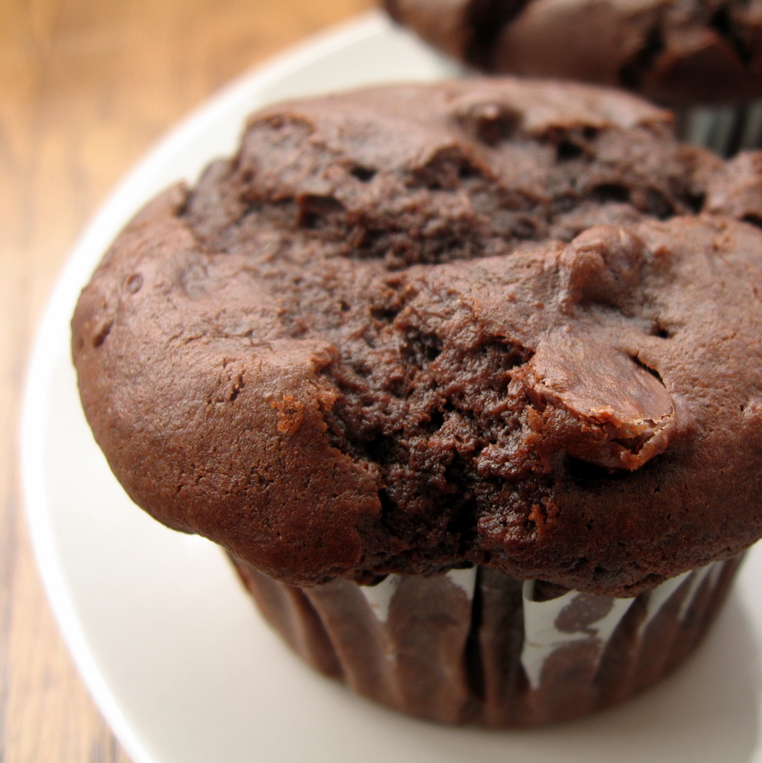 Chocolate Chip Muffins
 the nonpareil baker Double Chocolate Chip Muffins