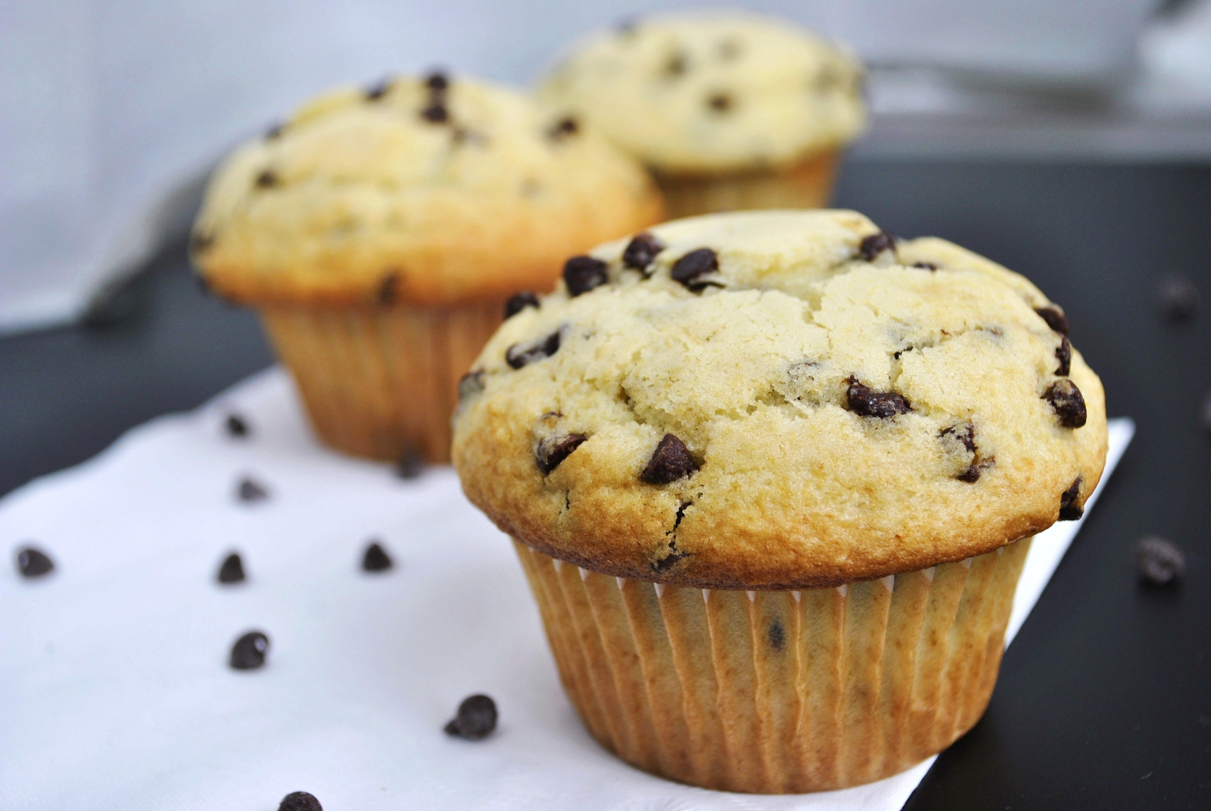 Chocolate Chip Muffins
 Chocolate Chip Muffins – Go Eat and Repeat