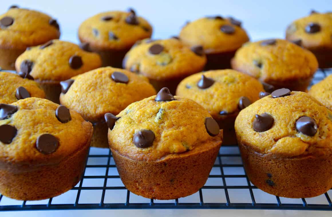 Chocolate Chip Muffins
 The Best Pumpkin Chocolate Chip Muffins