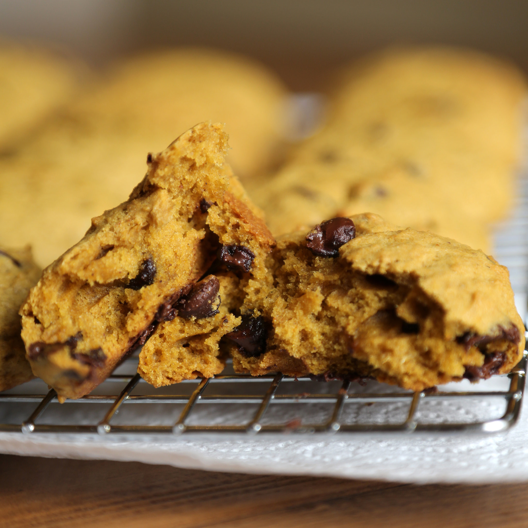 Chocolate Chip Pumpkin Cookies
 Pumpkin Chocolate Chip Cookie Recipe