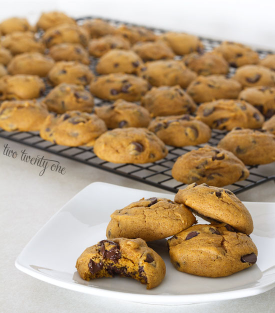 Chocolate Chip Pumpkin Cookies
 Pumpkin Chocolate Chip Cookies