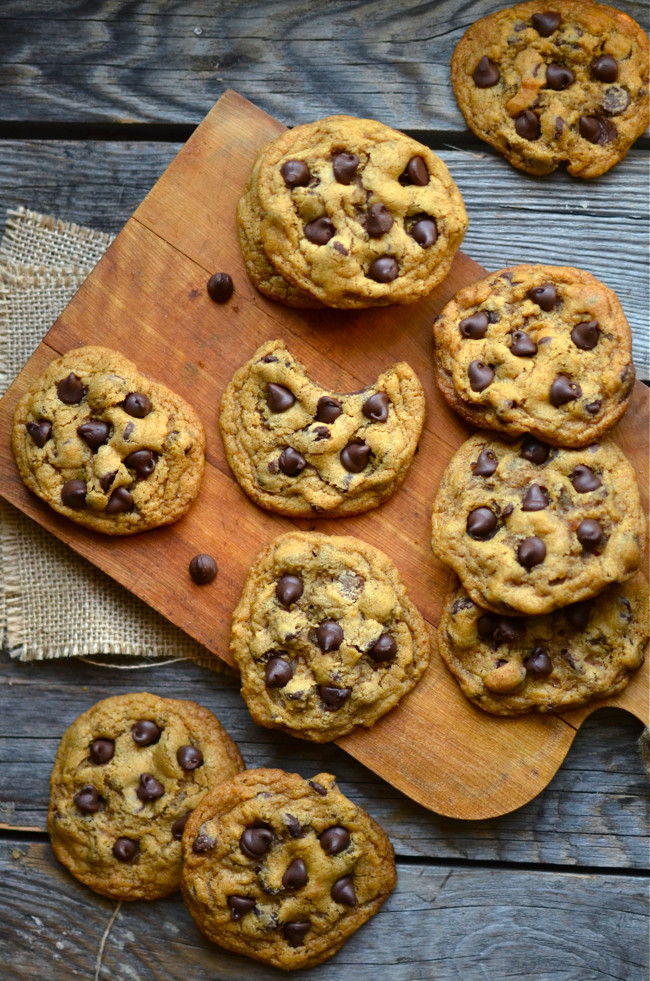 Chocolate Chip Pumpkin Cookies
 Yammie s Noshery Chewy Pumpkin Chocolate Chip Cookies