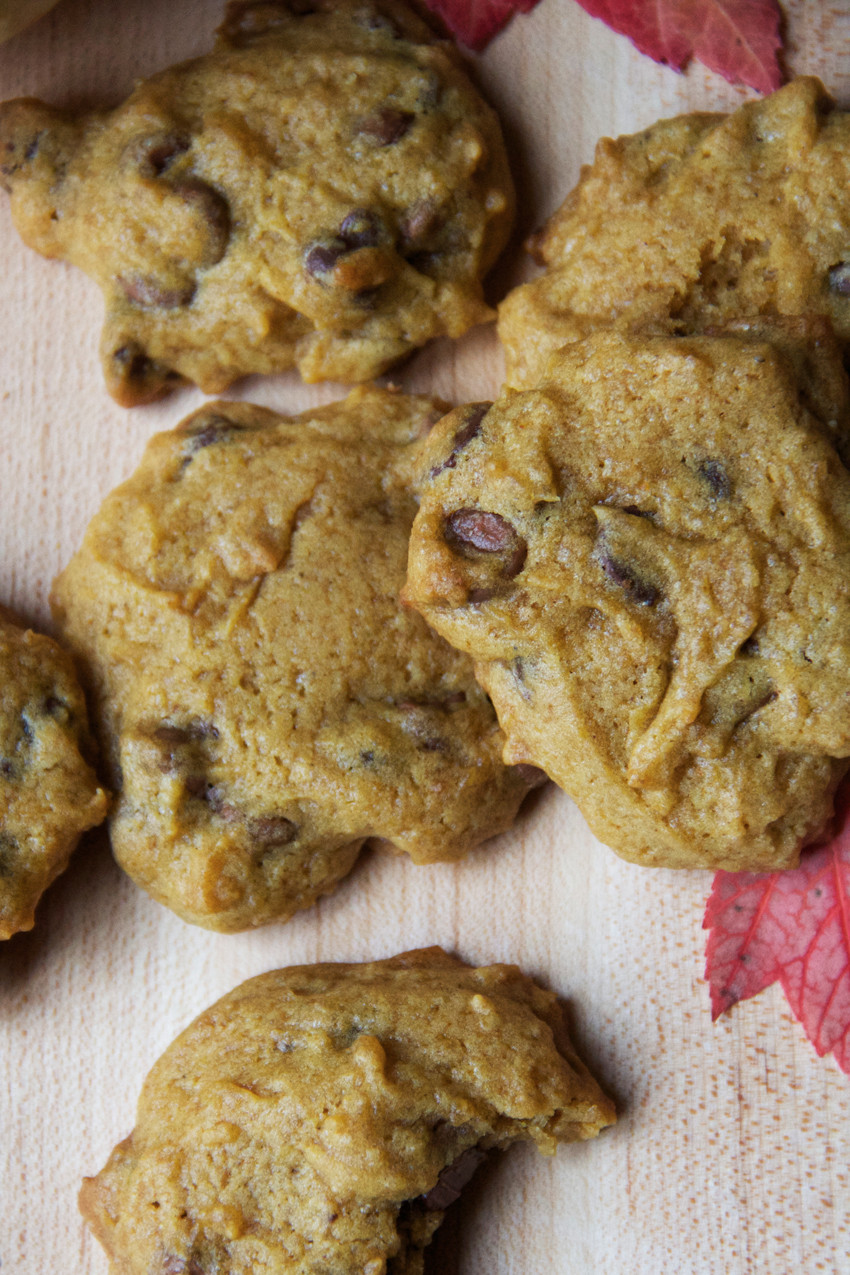 Chocolate Chip Pumpkin Cookies
 Pumpkin Chocolate Chip Cookie Recipe