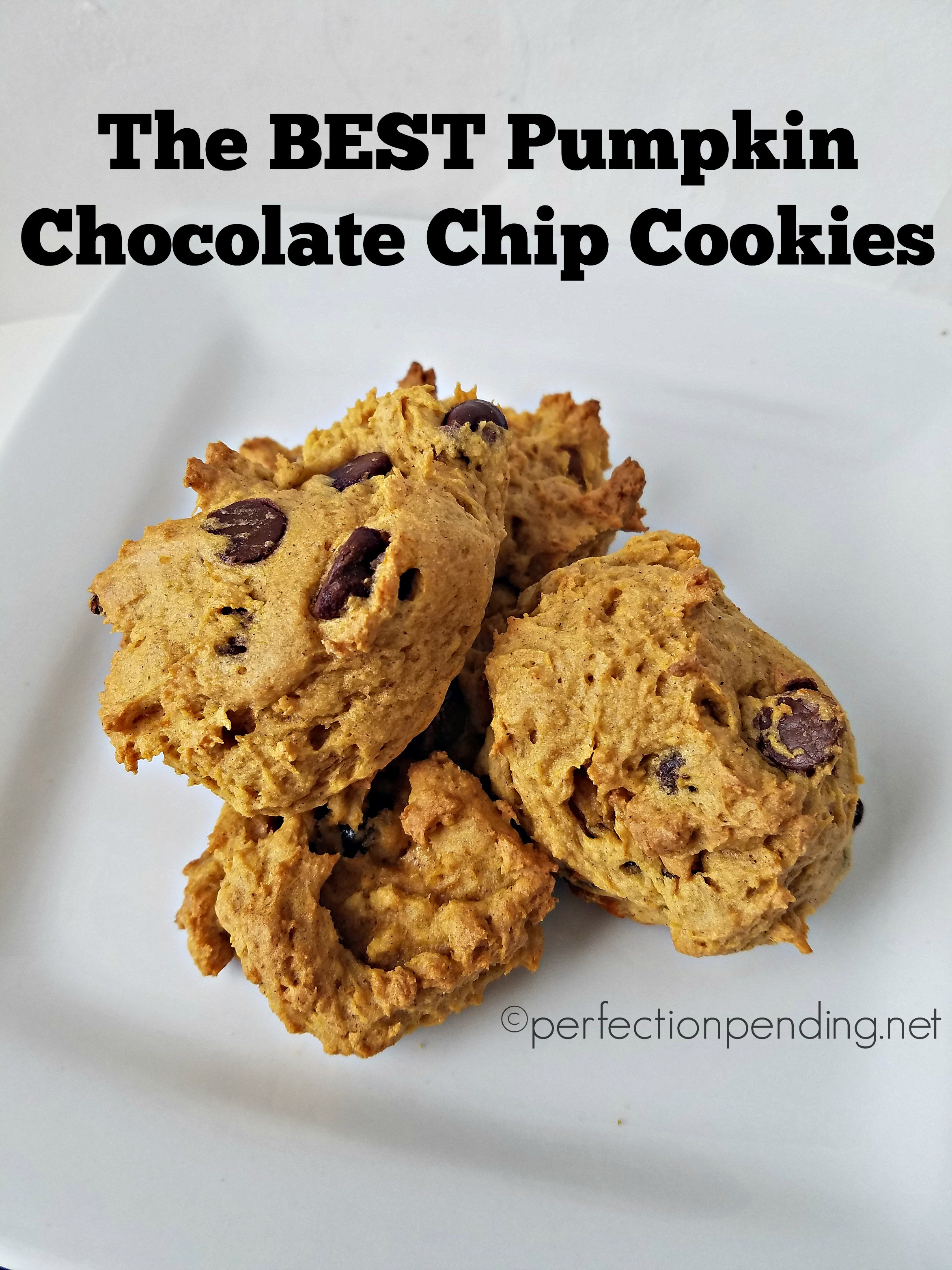 Chocolate Chip Pumpkin Cookies
 best pumpkin chocolate chip cookies