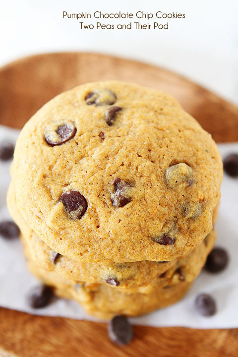 Chocolate Chip Pumpkin Cookies
 Pumpkin Chocolate Chip Cookies Recipe