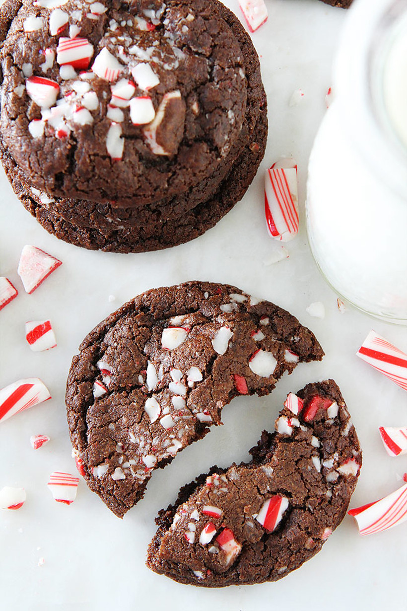 Chocolate Christmas Cookies
 27 Best Christmas Cookie Recipes Camille Styles