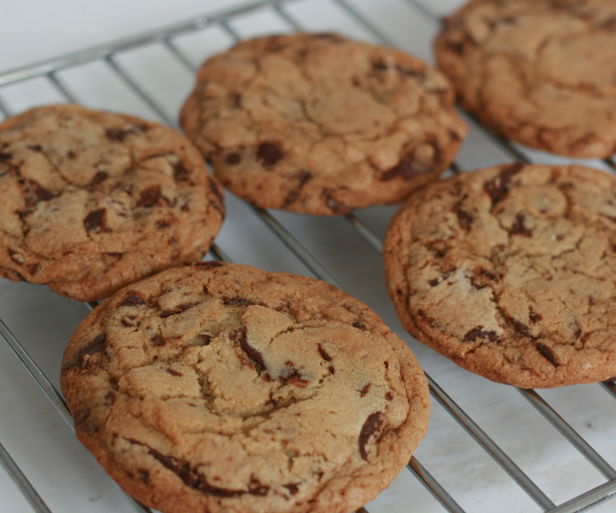 Chocolate Cookies Recipe
 Best Ever Chocolate Chip Cookie Recipe 4