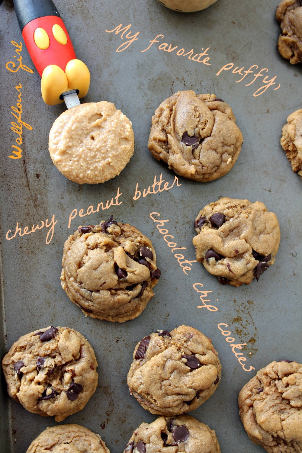 Chocolate Peanut Butter Chip Cookies
 My Favorite Puffy Chewy Peanut Butter Chocolate Chip