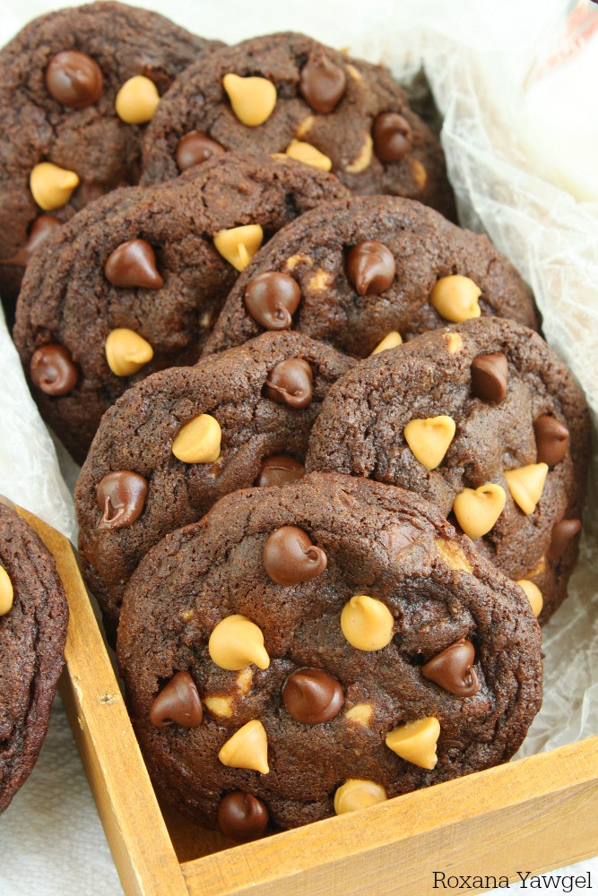 Chocolate Peanut Butter Chip Cookies
 Soft and chewy chocolate peanut butter chip cookies recipe