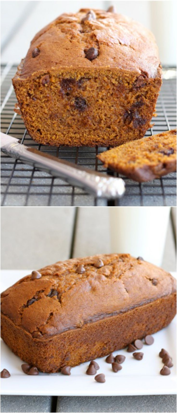 Chocolate Pumpkin Bread
 The BEST Pumpkin Chocolate Chip Bread Recipe on