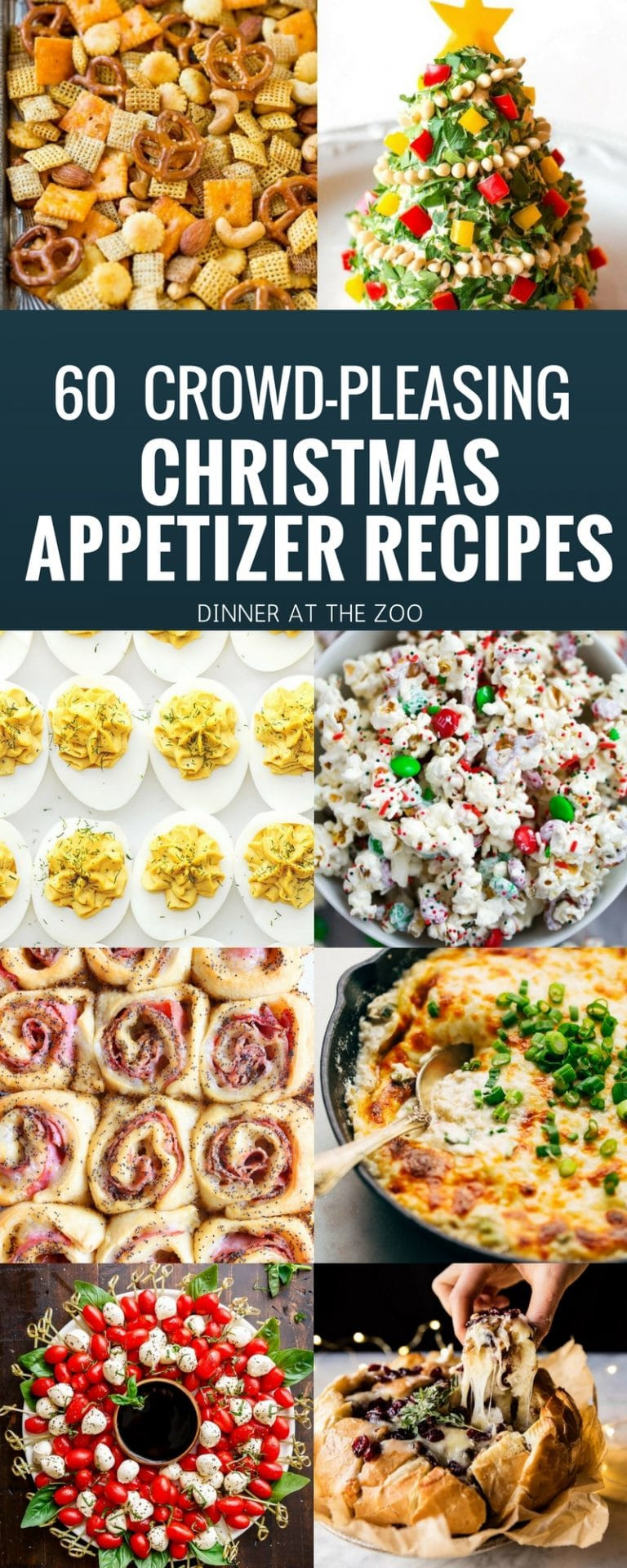 Christmas Appetizers 2017
 60 Christmas Appetizer Recipes Dinner at the Zoo