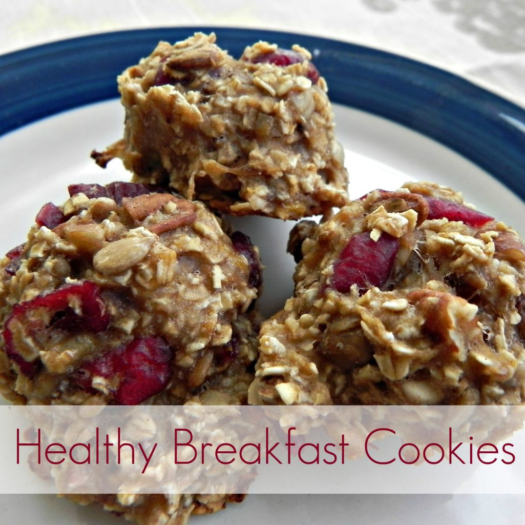 Cookies For Breakfast
 Healthy Breakfast Cookies Mad in Crafts