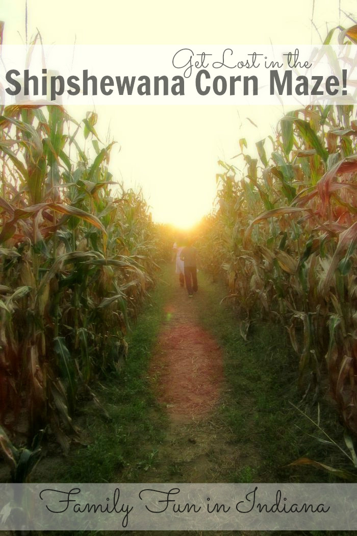 Corn Maze Indiana
 Get Lost in the Shipshewana Corn Maze All Roads Lead to