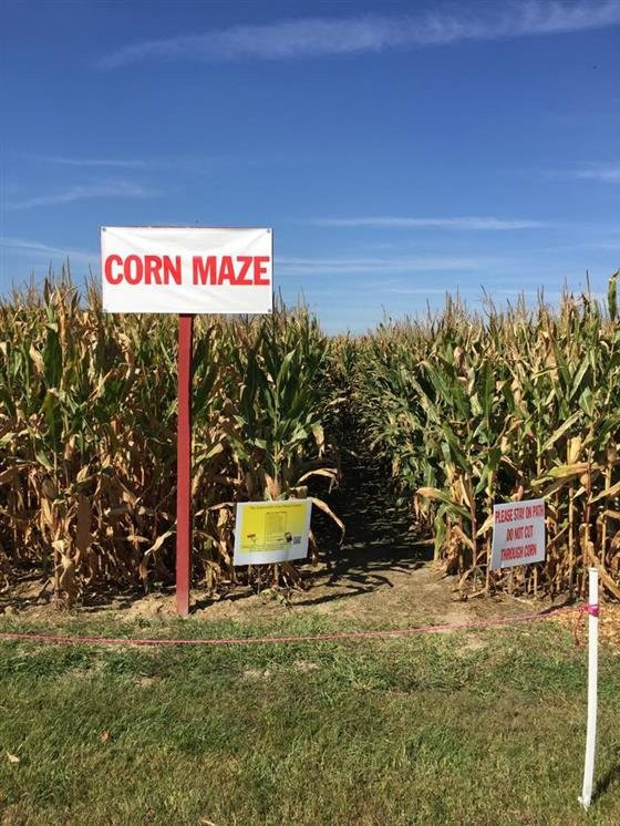 Corn Maze Indiana
 Hogan Farms Pumpkin Patch and Corn Maze Indiana Haunted