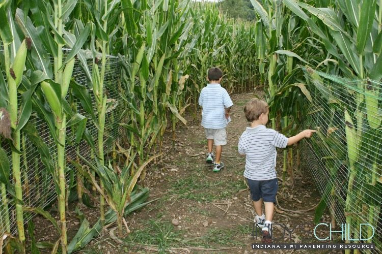 Corn Maze Indiana
 2017 Indianapolis Farmers Market Guide