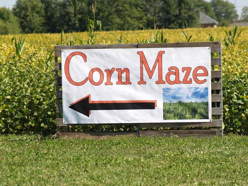 Corn Maze Indiana
 Beasley s Orchard Corn Maze and Pumpkin Patch Indiana