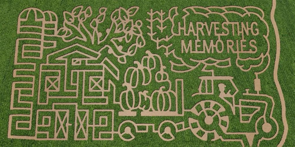 Corn Maze Indiana
 Guse Corn Maze Wanatah IN s & Videos