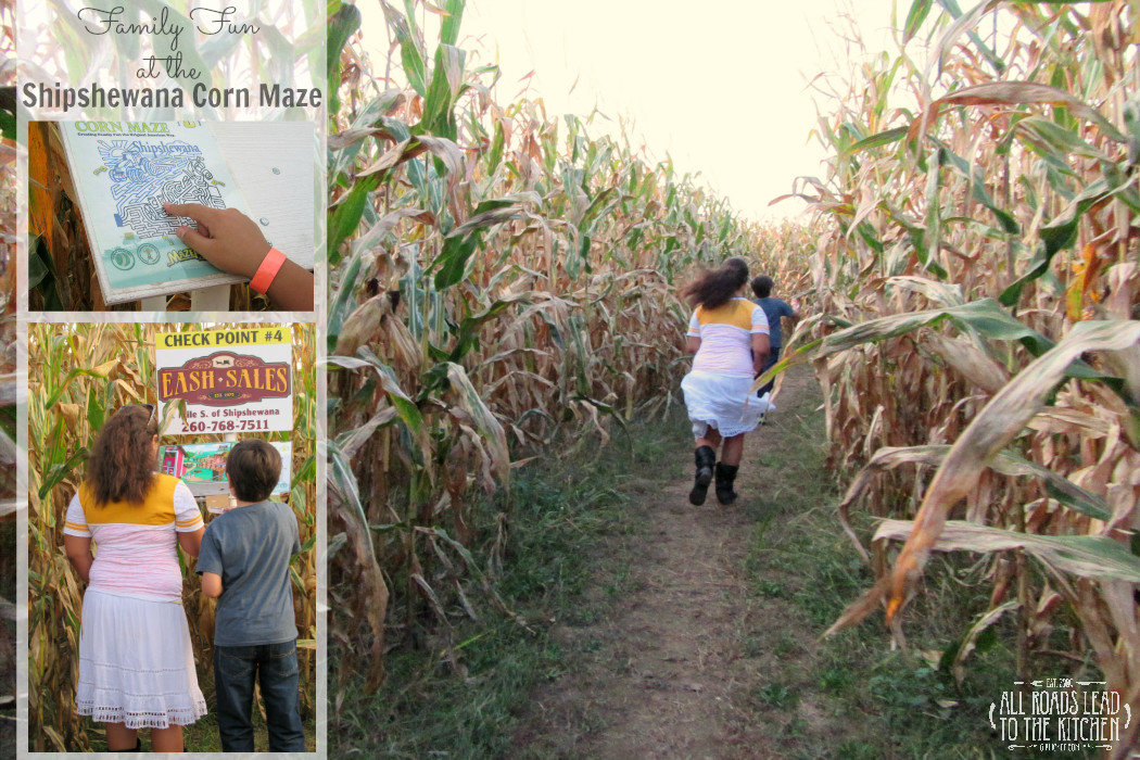 Corn Maze Indiana
 Get Lost in the Shipshewana Corn Maze All Roads Lead to