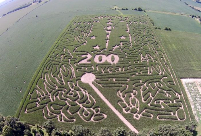 Corn Maze Indiana
 9 Best Corn Mazes in Indiana in 2016