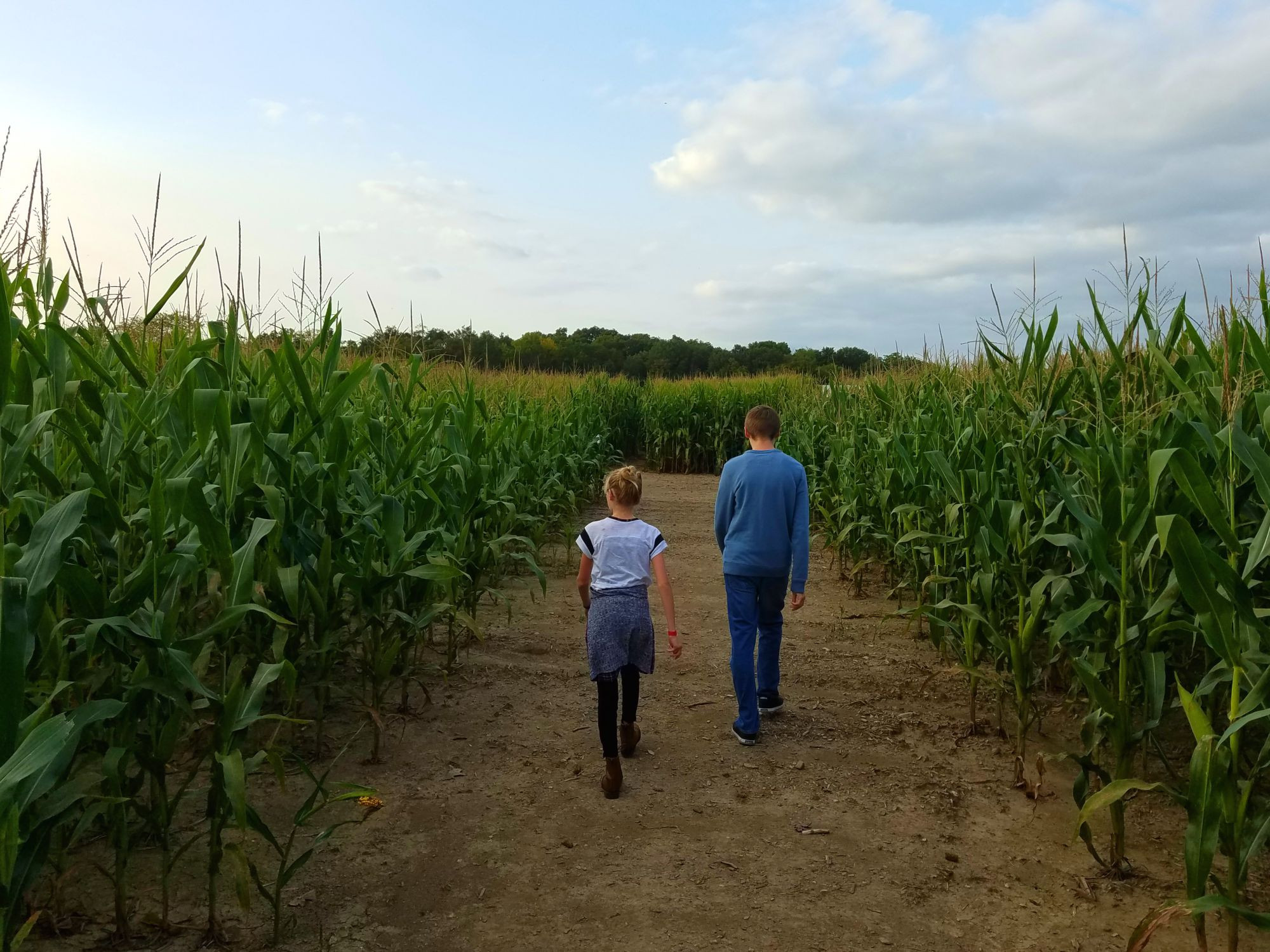 Corn Maze Indiana
 Get Lost in Northeast Indiana s st Corn Maze