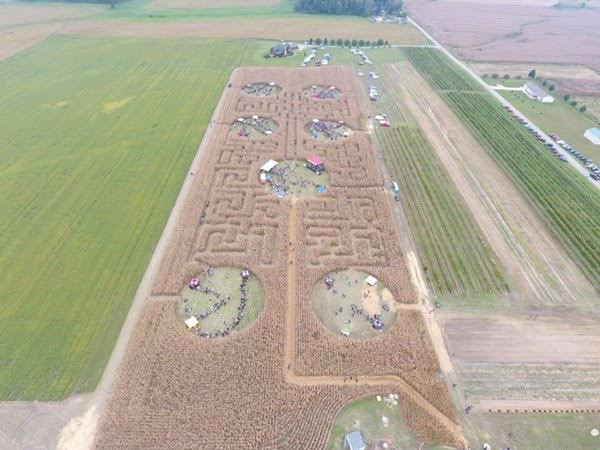 Corn Maze Indiana
 Confessions from the Inaugural Corn Maze Beer Fest