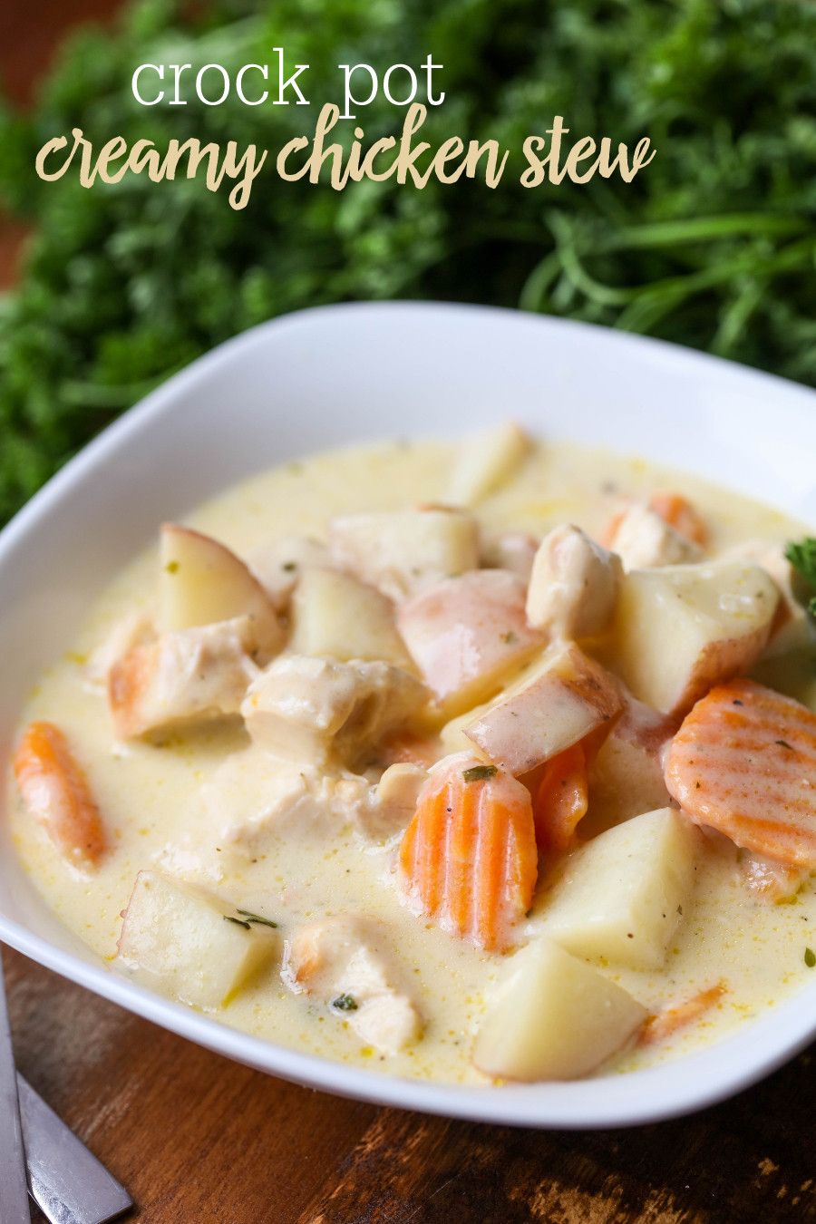 Creamy Chicken Stew Recipes
 Crock Pot Creamy Chicken Stew Lil Luna