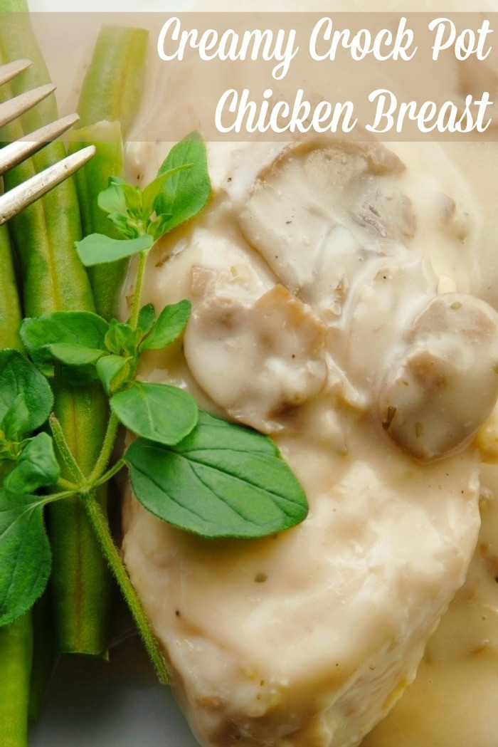 Crock Pot Chicken Breasts
 Creamy Chicken Breast Recipe