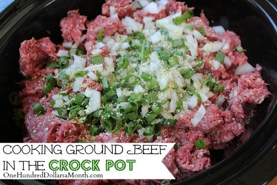Crock Pot Ground Beef Recipes
 Cooking Ground Beef in the Crock Pot e Hundred Dollars