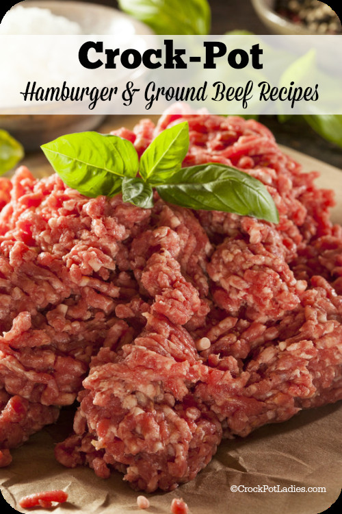 Crock Pot Recipes With Ground Beef
 Crock Pot Hamburger Ground Beef Recipes Crock Pot La s