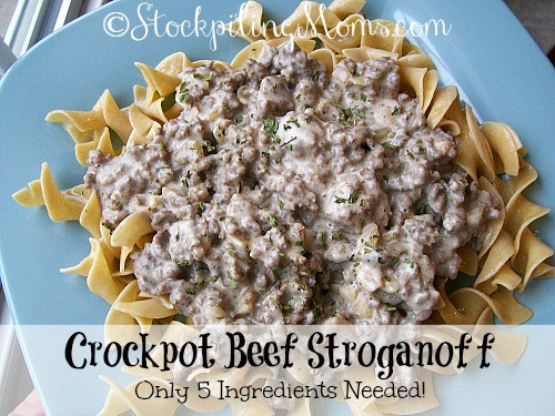 Crock Pot Recipes With Ground Beef
 Crockpot Beef Stroganoff