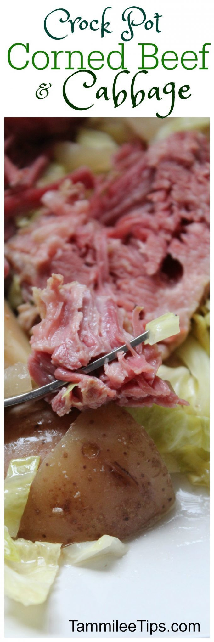 Crockpot Corn Beef And Cabbage
 Crock Pot Corned Beef and Cabbage Tammilee Tips