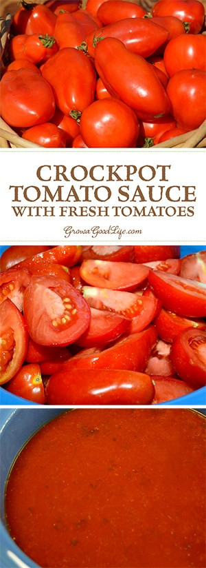 Crockpot Tomato Sauce
 Crockpot Tomato Sauce with Fresh Tomatoes