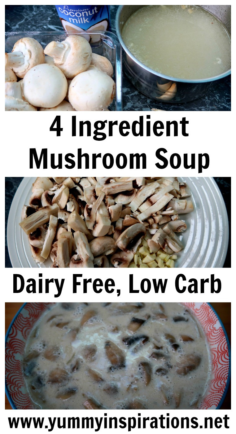 Dairy Free Keto Recipes
 4 Ingre nt Mushroom Soup Recipe Dairy Free Low Carb