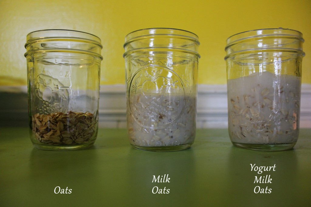 Dairy Free Overnight Oats
 Overnight Oats Gluten free and Dairy free In Johnna s
