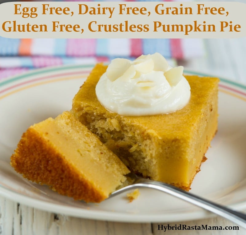 Dairy Free Pumpkin Pie
 Crustless Pumpkin Pie Egg Free Dairy Free Grain Free