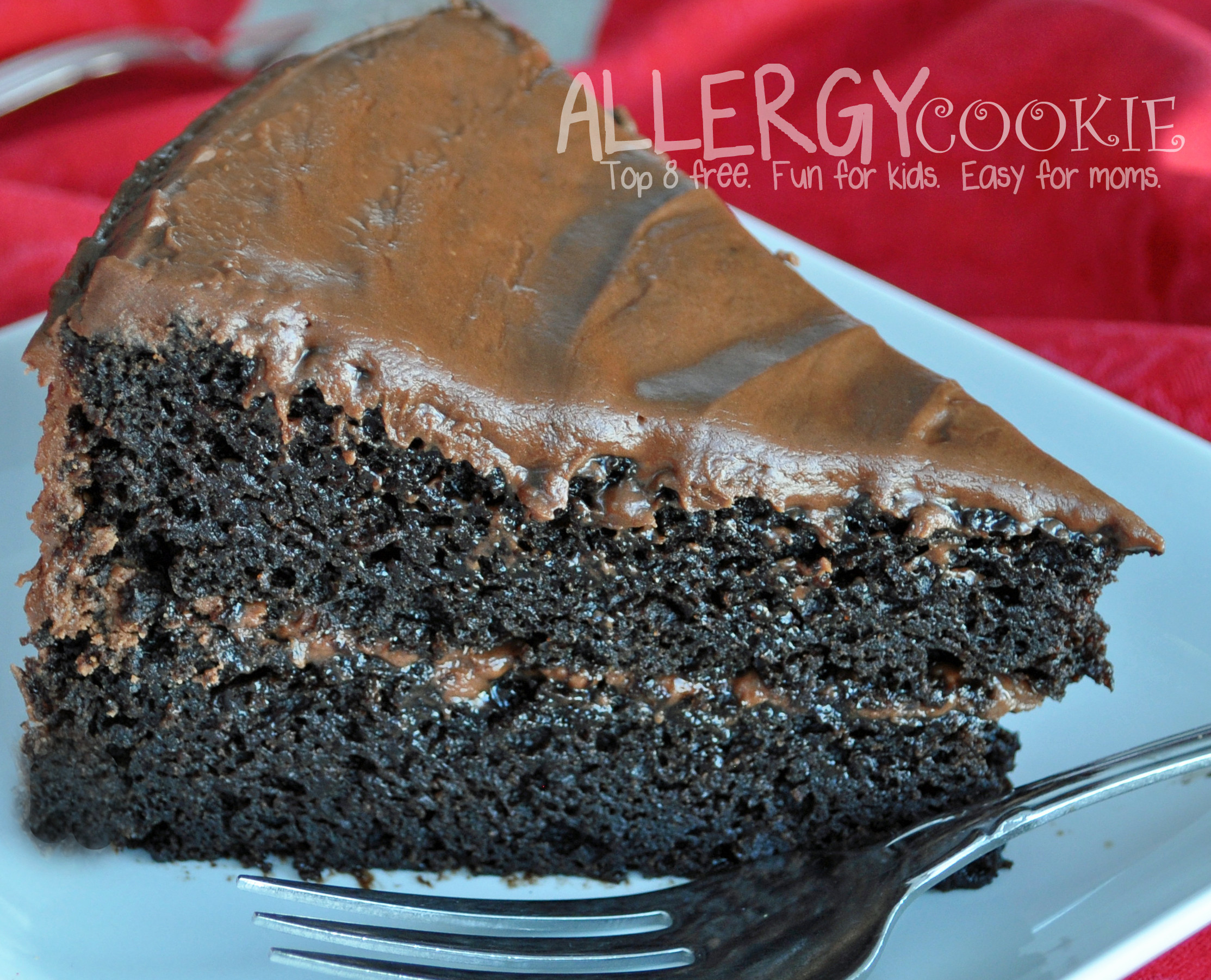 Dense Chocolate Cake Recipe
 Moist Dense Decadent Chocolate Cake top 8 free gluten