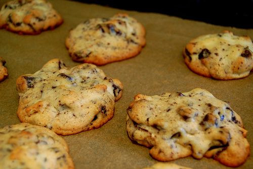 Diabetic Cookie Recipes
 Chocolate Chip Cookies for Diabetics