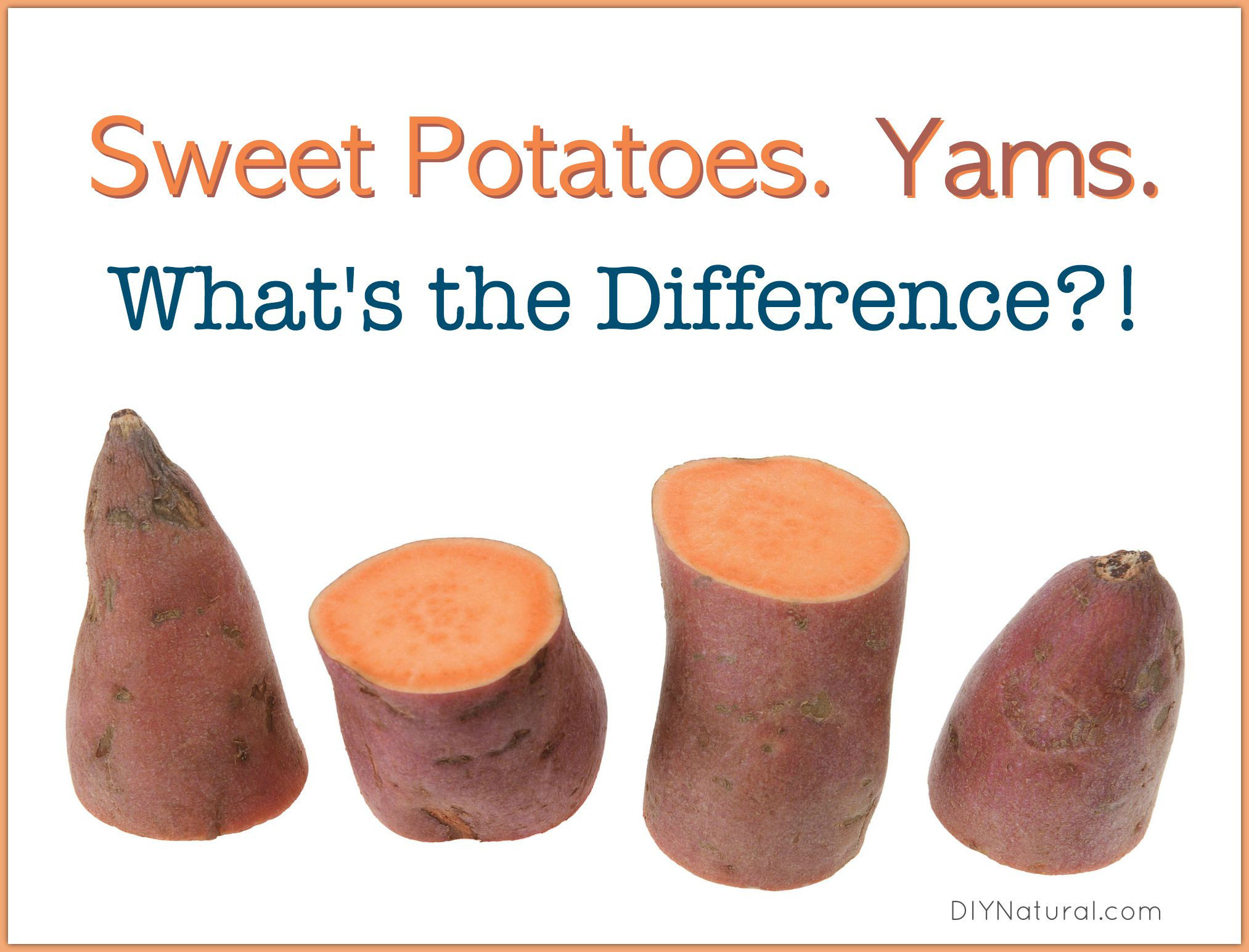 Difference Between A Yam And A Sweet Potato
 Sweet Potato Yams Is there a Difference