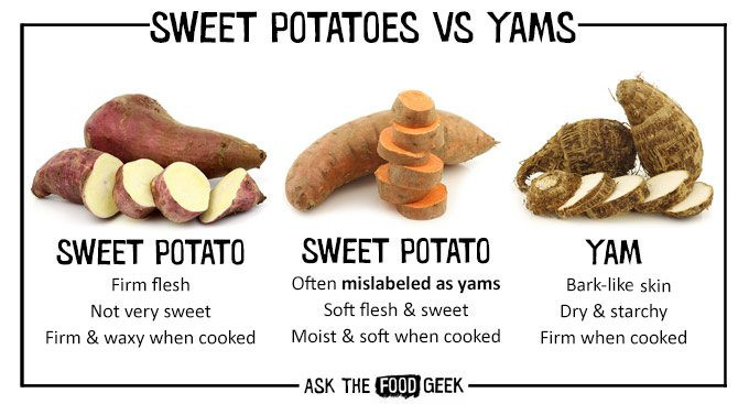 Difference Between A Yam And A Sweet Potato
 Sweet potatoes Recipes in Season