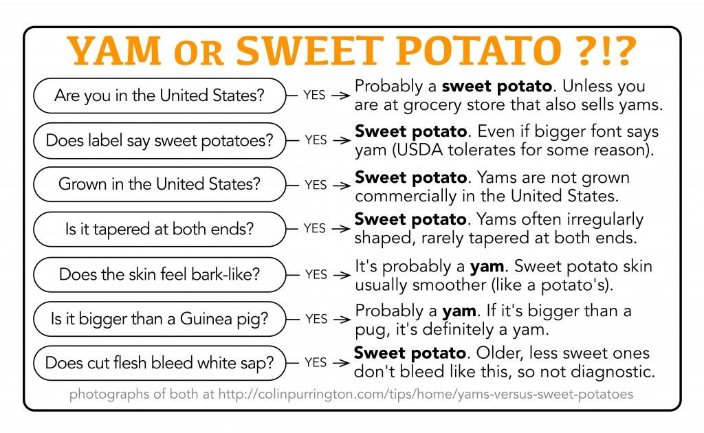 Difference Between A Yam And A Sweet Potato
 difference Archives Colin Purrington
