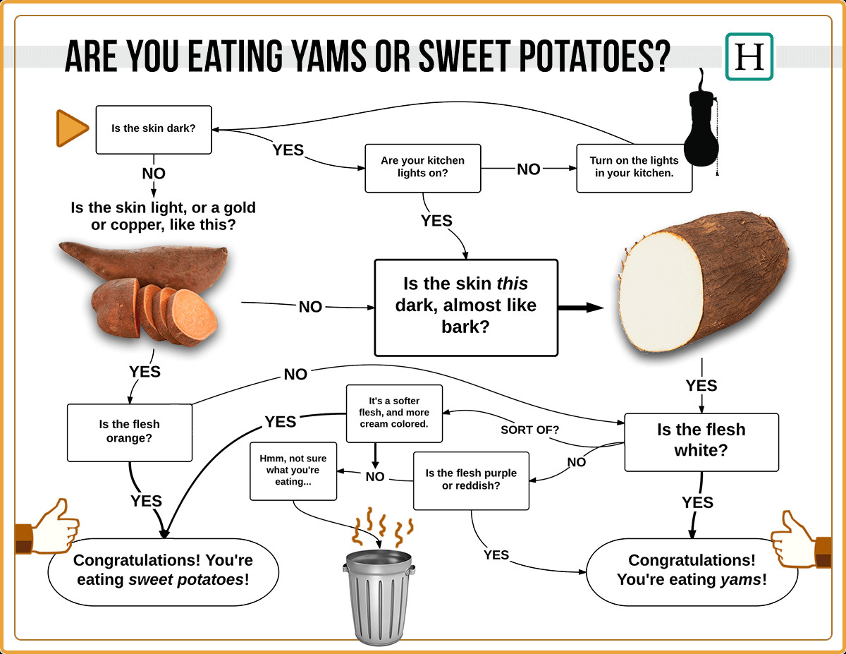 Difference Between A Yam And A Sweet Potato
 Ellen DeGeneres Doesn t Know Her Sweet Potatoes From Her