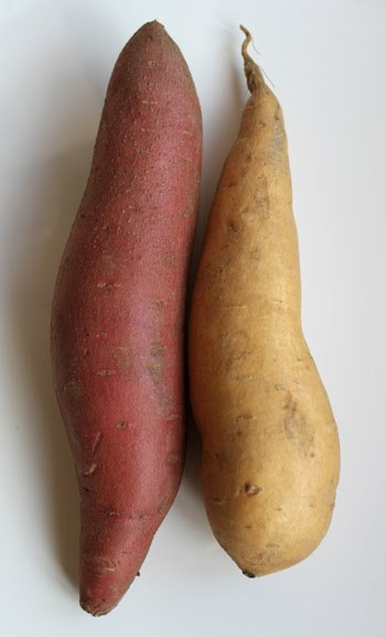 Difference Between A Yam And A Sweet Potato
 The Nutrition Wall What Is The Difference Between Sweet