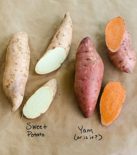 Difference Between A Yam And A Sweet Potato
 OMG Worthy Reads Week 107 OMG Lifestyle Blog