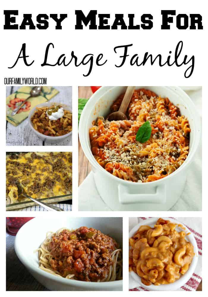 Dinner Ideas For Families
 Easy Meals For A Family Our Family World