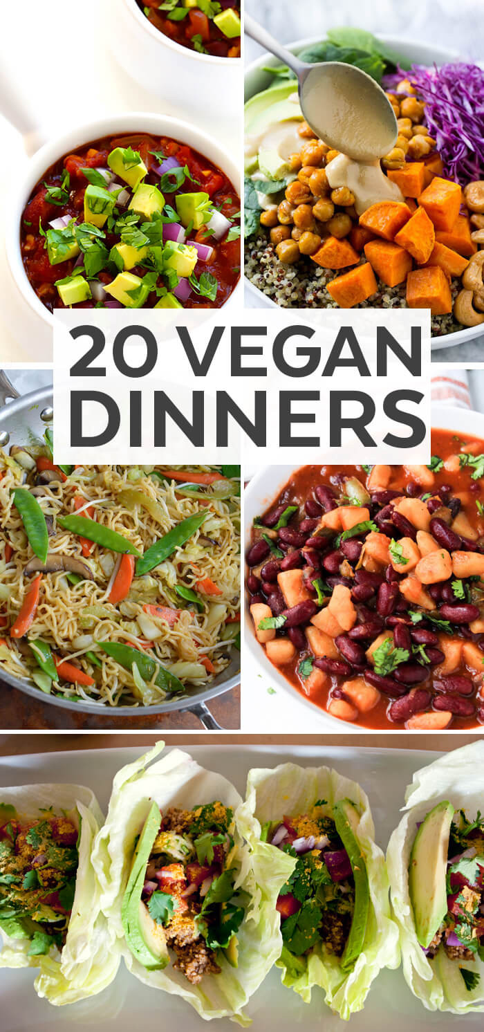 Dinner Ideas Pinterest
 20 Vegan Dinner Ideas Plant Based Diet Recipe Ideas