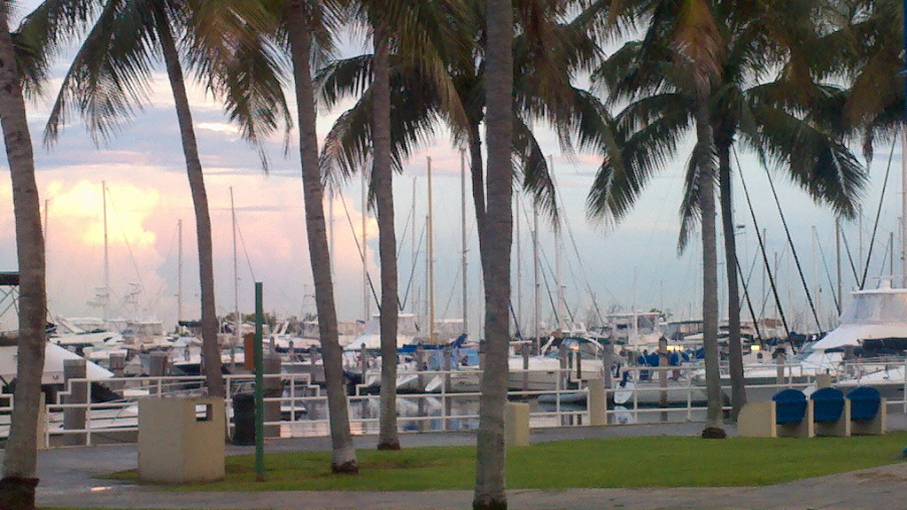 Dinner Key Marina
 Daly Cruises Miami to St Petersburg September 2011