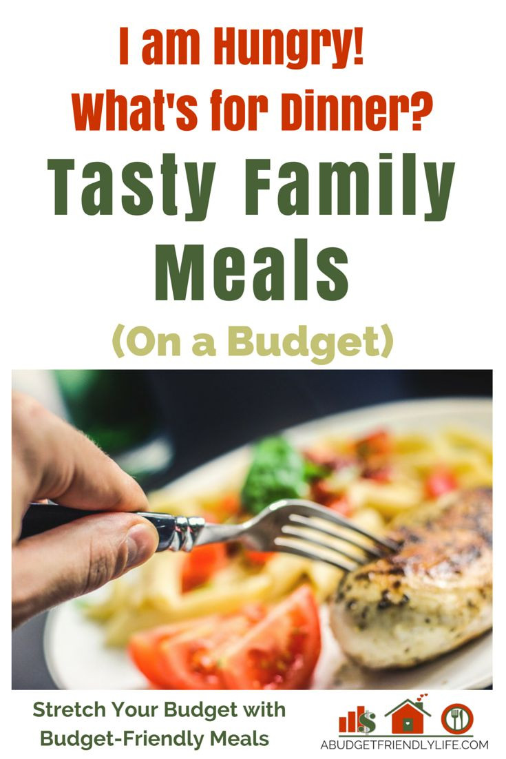 Dinner On A Budget
 173 best A Bud Friendly Life images on Pinterest