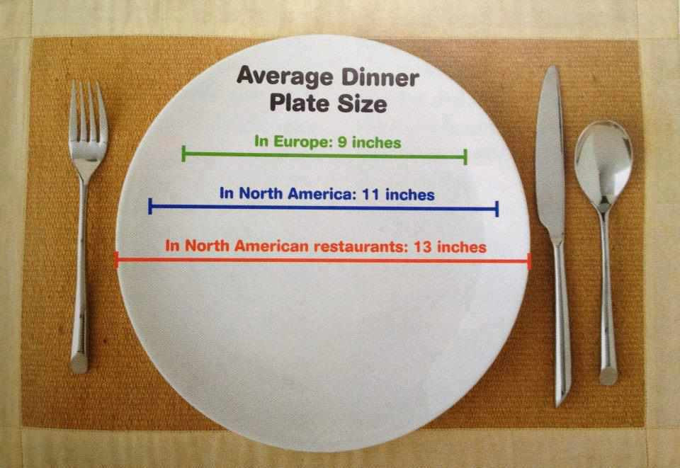 Dinner Plate Size
 Average Dinner Plate Size