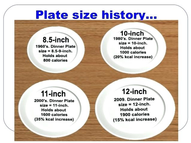 Dinner Plate Size
 Dinner Plate Standard Size Stunning Standard Dinner Plate