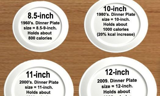 Dinner Plate Size
 History of dinner plate sizes
